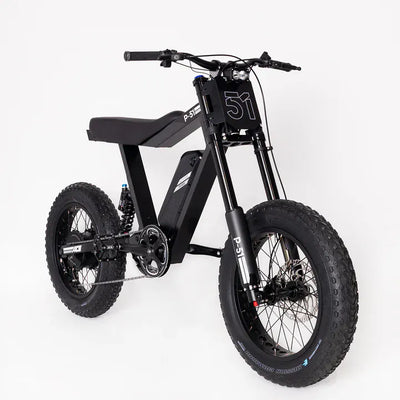 P-51 Electric Bikes - Ace