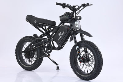 GhostCat F4X - GhostCat Bikes