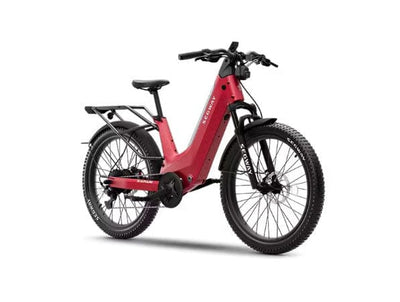Xafari Electric Bike - Segway