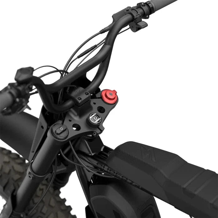 electric adventure bicycle R Adventure SE (Special Edition) Legacy Blackout - Super73 Electric Bi