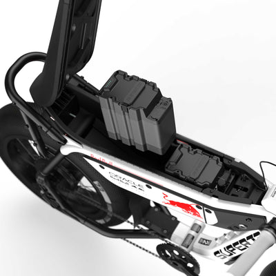 Oracle Red Bull Racing Super73 M1D SE electric bike