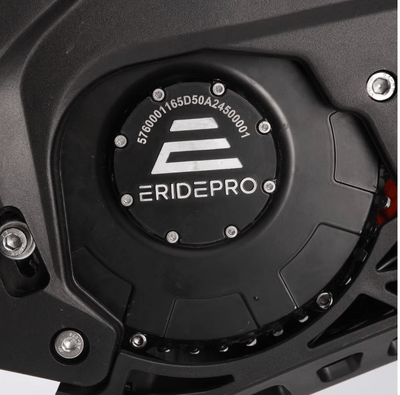 E Ride Pro- 2025 Pro SR