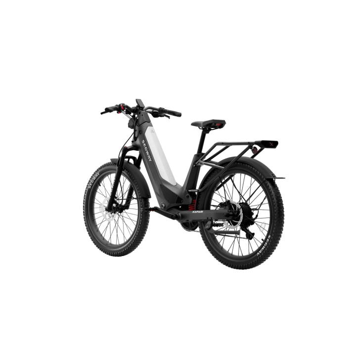 Xafari Electric Bike - Segway